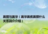 嬴駟與嬴華（嬴華嬴疾嬴駟什么關(guān)系簡介介紹）