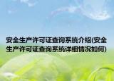安全生產(chǎn)許可證查詢系統(tǒng)介紹(安全生產(chǎn)許可證查詢系統(tǒng)詳細(xì)情況如何)