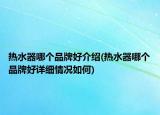熱水器哪個(gè)品牌好介紹(熱水器哪個(gè)品牌好詳細(xì)情況如何)