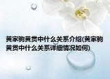 黃家駒黃貫中什么關(guān)系介紹(黃家駒黃貫中什么關(guān)系詳細(xì)情況如何)