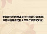 妮娜哈特利的翻譯是什么意思介紹(妮娜哈特利的翻譯是什么意思詳細情況如何)
