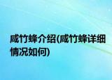 咸竹蜂介紹(咸竹蜂詳細情況如何)