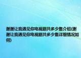 謝謝讓我遇見(jiàn)你電視劇共多少集介紹(謝謝讓我遇見(jiàn)你電視劇共多少集詳細(xì)情況如何)