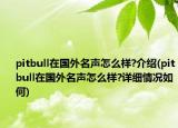 pitbull在國外名聲怎么樣?介紹(pitbull在國外名聲怎么樣?詳細(xì)情況如何)