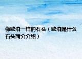 像歐泊一樣的石頭（歐泊是什么石頭簡介介紹）