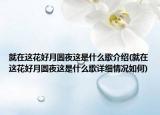 就在這花好月圓夜這是什么歌介紹(就在這花好月圓夜這是什么歌詳細情況如何)