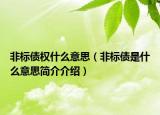 非標(biāo)債權(quán)什么意思（非標(biāo)債是什么意思簡介介紹）