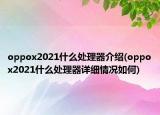 oppox2021什么處理器介紹(oppox2021什么處理器詳細(xì)情況如何)