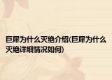 巨犀為什么滅絕介紹(巨犀為什么滅絕詳細情況如何)