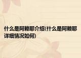 什么是阿賴耶介紹(什么是阿賴耶詳細(xì)情況如何)