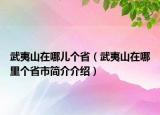 武夷山在哪兒個(gè)?。ㄎ湟纳皆谀睦飩€(gè)省市簡(jiǎn)介介紹）