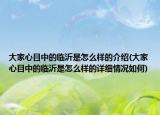 大家心目中的臨沂是怎么樣的介紹(大家心目中的臨沂是怎么樣的詳細(xì)情況如何)