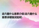 走穴是什么意思介紹(走穴是什么意思詳細(xì)情況如何)