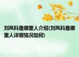 劉鳳科是哪里人介紹(劉鳳科是哪里人詳細(xì)情況如何)