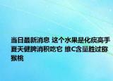 當(dāng)日最新消息 這個(gè)水果是化痰高手夏天健脾消積吃它 維C含量勝過(guò)獼猴桃