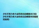 少壯不努力老大徒傷悲出自哪首詩介紹(少壯不努力老大徒傷悲出自哪首詩詳細(xì)情況如何)