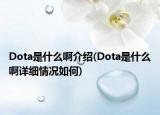 Dota是什么啊介紹(Dota是什么啊詳細(xì)情況如何)