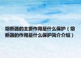 熔斷器的主要作用是什么保護(hù)（熔斷器的作用是什么保護(hù)簡(jiǎn)介介紹）
