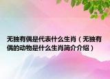 無獨(dú)有偶是代表什么生肖（無獨(dú)有偶的動物是什么生肖簡介介紹）