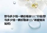 野馬多少錢一輛價(jià)格表\