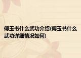 傅玉書什么武功介紹(傅玉書什么武功詳細情況如何)