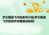 夢幻西游飛升的條件介紹(夢幻西游飛升的條件詳細(xì)情況如何)