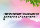 上海多地突降冰雹大小宛若雞蛋詳細內(nèi)容 上海多地突降冰雹大小宛若雞蛋具體介紹