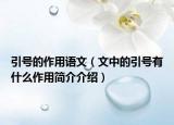 引號的作用語文（文中的引號有什么作用簡介介紹）
