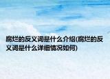 腐爛的反義詞是什么介紹(腐爛的反義詞是什么詳細情況如何)