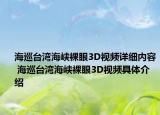 海巡臺灣海峽裸眼3D視頻詳細內(nèi)容 海巡臺灣海峽裸眼3D視頻具體介紹