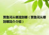 賈魯河從哪流到哪（賈魯河從哪到哪簡介介紹）
