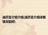 油莎豆介紹介紹(油莎豆介紹詳細(xì)情況如何)