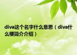 diva這個(gè)名字什么意思（diva什么梗簡(jiǎn)介介紹）