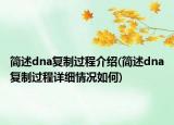 簡述dna復(fù)制過程介紹(簡述dna復(fù)制過程詳細情況如何)