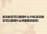 美丑的丑可以組詞什么介紹(美丑的丑可以組詞什么詳細情況如何)