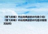 《登飛來峰》中運用典故的詩句是介紹(《登飛來峰》中運用典故的詩句是詳細情況如何)