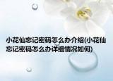 小花仙忘記密碼怎么辦介紹(小花仙忘記密碼怎么辦詳細(xì)情況如何)