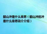 韶山?jīng)_是什么意思（韶山?jīng)_的沖是什么意思簡(jiǎn)介介紹）