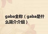 gaba全稱（gaba是什么簡介介紹）