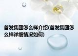 首發(fā)集團(tuán)怎么樣介紹(首發(fā)集團(tuán)怎么樣詳細(xì)情況如何)