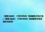 《黑狐2血風(fēng)》《雪豹2豹風(fēng)》到底都拍不拍介紹(《黑狐2血風(fēng)》《雪豹2豹風(fēng)》到底都拍不拍詳細(xì)情況如何)