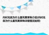 內(nèi)村光良為什么害死黃家駒介紹(內(nèi)村光良為什么害死黃家駒詳細(xì)情況如何)