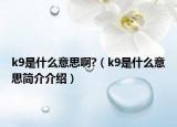 k9是什么意思啊?（k9是什么意思簡(jiǎn)介介紹）