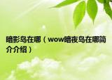 暗影島在哪（wow暗夜島在哪簡介介紹）