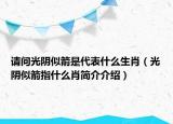 請問光陰似箭是代表什么生肖（光陰似箭指什么肖簡介介紹）