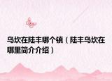 烏坎在陸豐哪個鎮(zhèn)（陸豐烏坎在哪里簡介介紹）