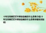 十年生死兩茫茫不思量自難忘什么意思介紹(十年生死兩茫茫不思量自難忘什么意思詳細(xì)情況如何)