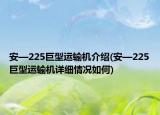 安—225巨型運輸機介紹(安—225巨型運輸機詳細情況如何)