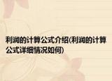 利潤(rùn)的計(jì)算公式介紹(利潤(rùn)的計(jì)算公式詳細(xì)情況如何)