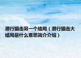 潛行狙擊另一個(gè)結(jié)局（潛行狙擊大結(jié)局是什么意思簡(jiǎn)介介紹）